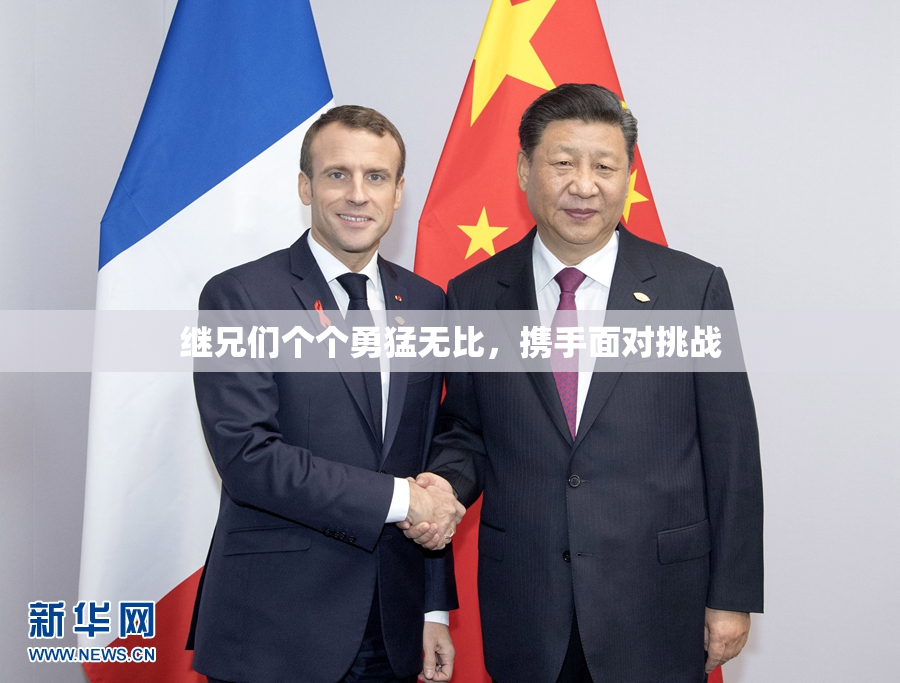 继兄们个个勇猛无比，携手面对挑战