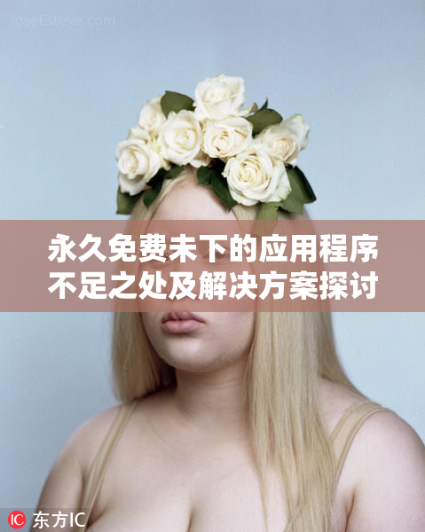 永久免费未下的应用程序不足之处及解决方案探讨