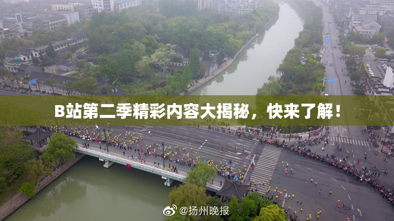 B站第二季精彩内容大揭秘，快来了解！