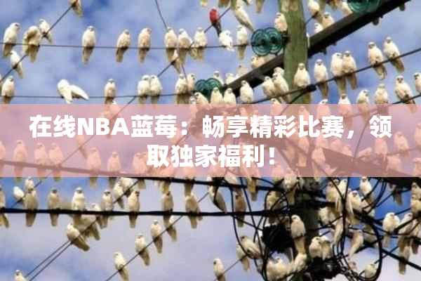 在线NBA蓝莓：畅享精彩比赛，领取独家福利！