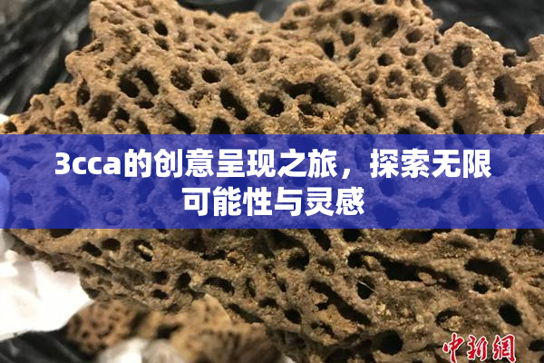 3cca的创意呈现之旅，探索无限可能性与灵感