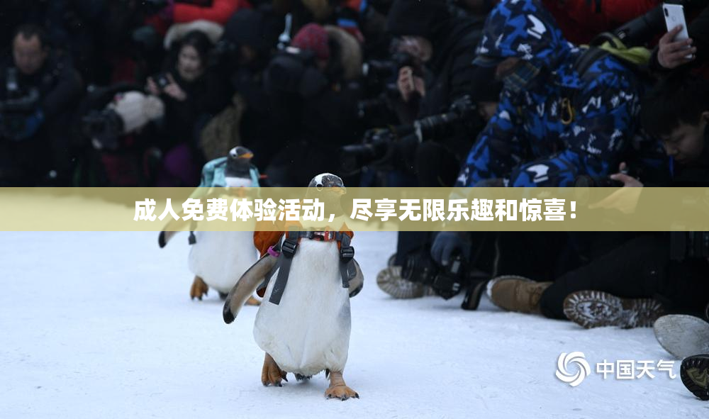 成人免费体验活动，尽享无限乐趣和惊喜！