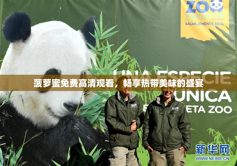 菠萝蜜免费高清观看，畅享热带美味的盛宴
