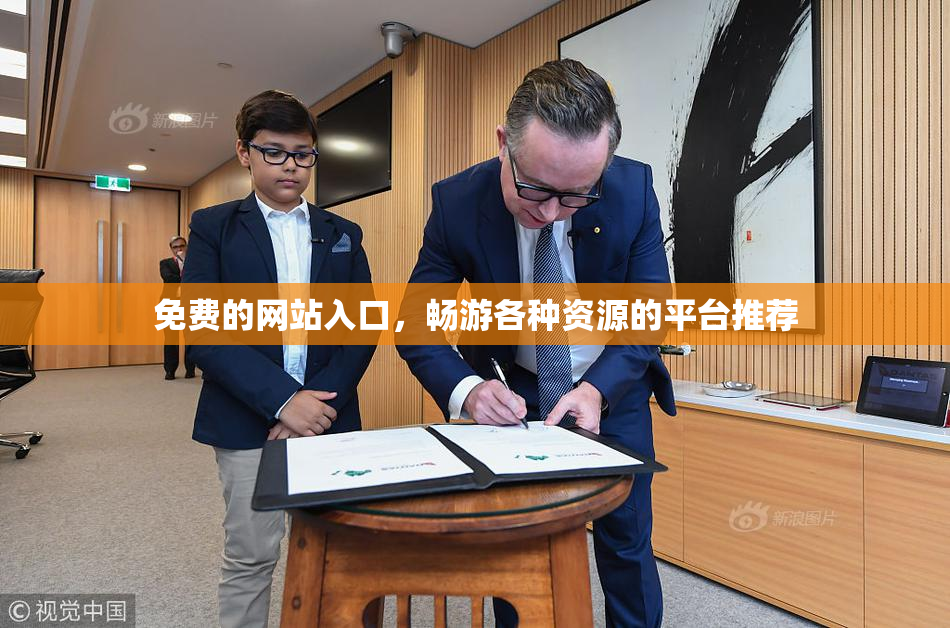 免费的网站入口，畅游各种资源的平台推荐