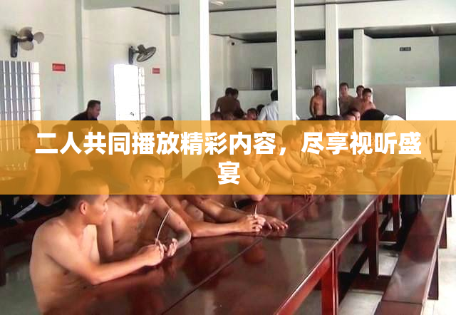二人共同播放精彩内容，尽享视听盛宴