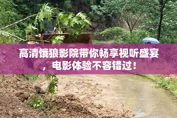 高清饿狼影院带你畅享视听盛宴，电影体验不容错过！