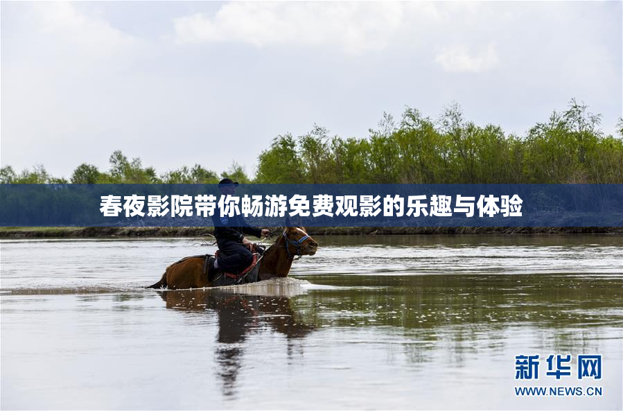 春夜影院带你畅游免费观影的乐趣与体验