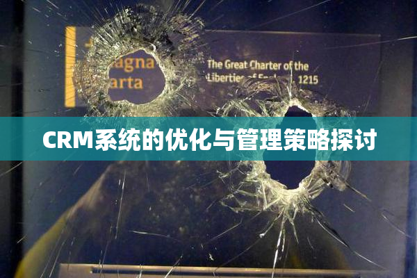 CRM系统的优化与管理策略探讨
