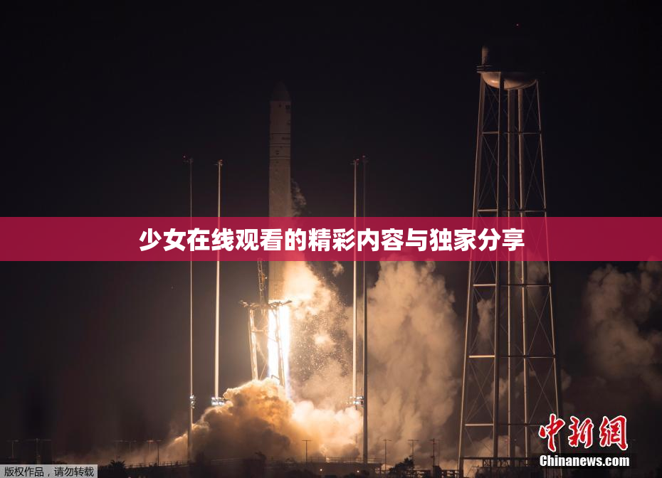 少女在线观看的精彩内容与独家分享