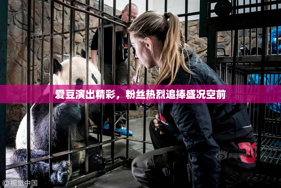 爱豆演出精彩，粉丝热烈追捧盛况空前