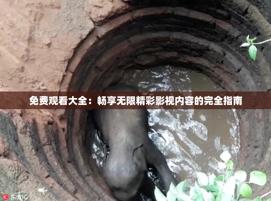 免费观看大全：畅享无限精彩影视内容的完全指南
