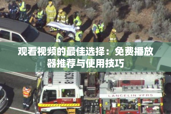观看视频的最佳选择：免费播放器推荐与使用技巧