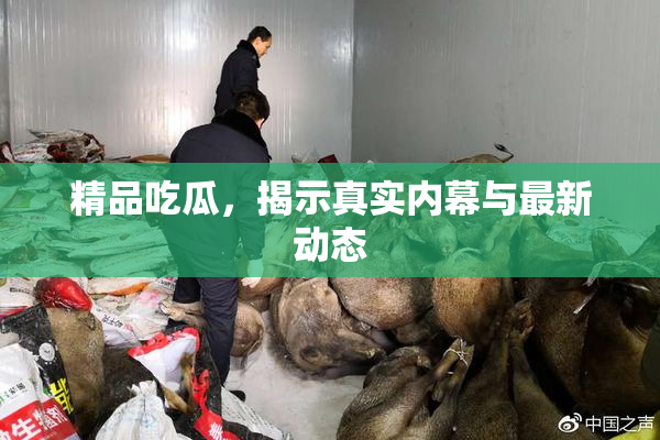 精品吃瓜，揭示真实内幕与最新动态