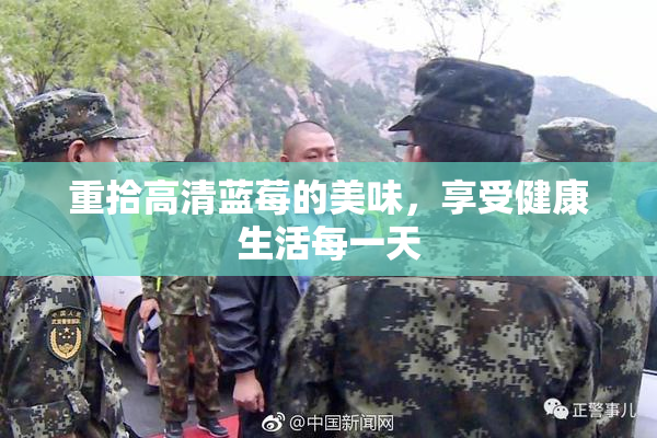 重拾高清蓝莓的美味，享受健康生活每一天