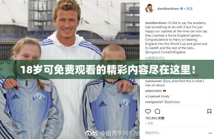 18岁可免费观看的精彩内容尽在这里！