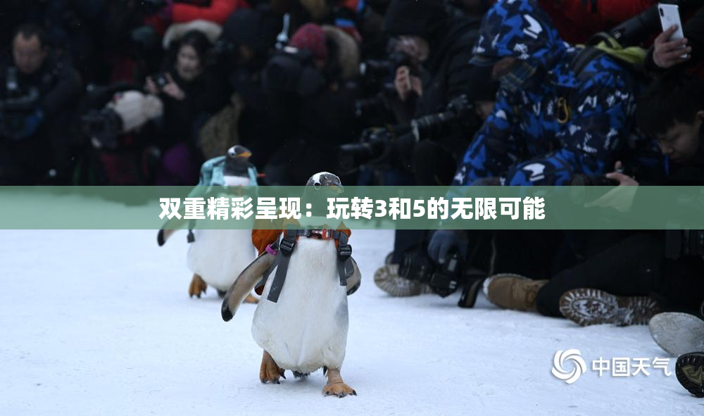 双重精彩呈现：玩转3和5的无限可能