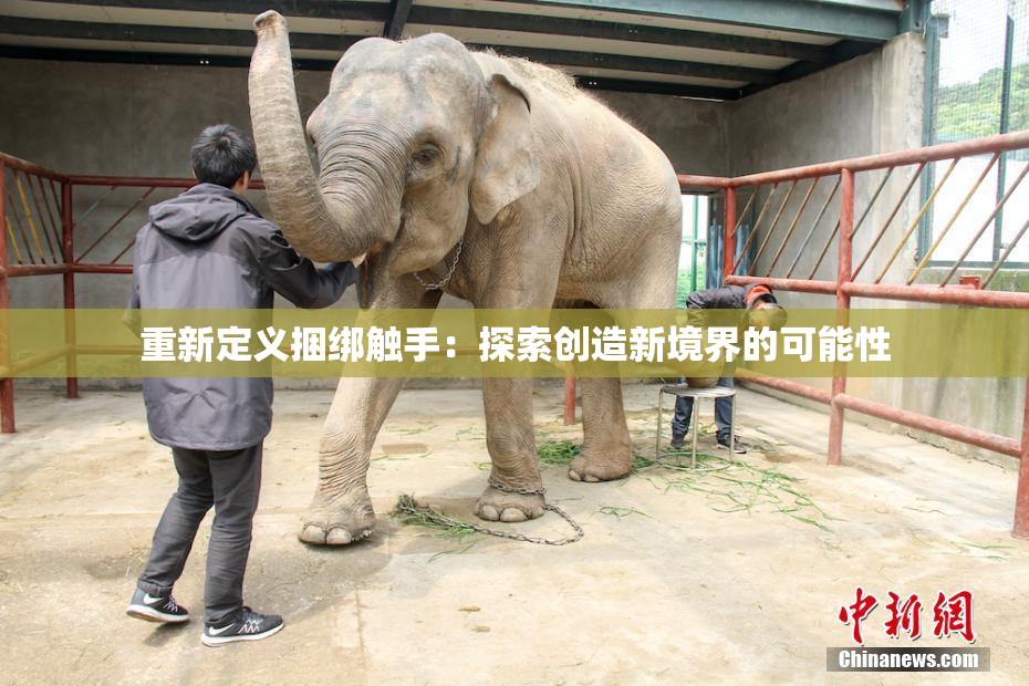 重新定义捆绑触手：探索创造新境界的可能性