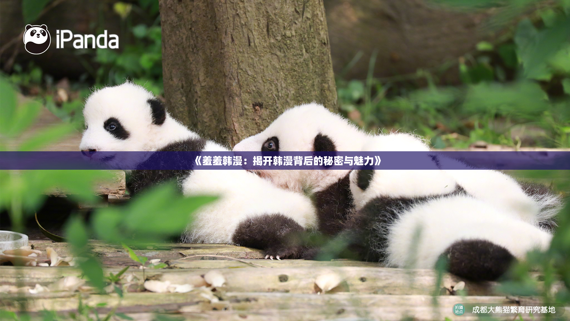 《羞羞韩漫：揭开韩漫背后的秘密与魅力》