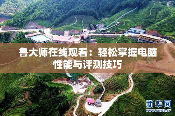 鲁大师在线观看：轻松掌握电脑性能与评测技巧