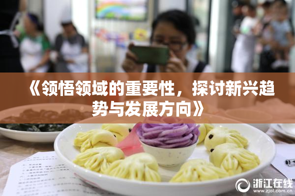 《领悟领域的重要性，探讨新兴趋势与发展方向》