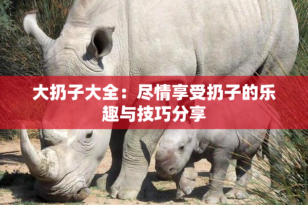 大扔子大全：尽情享受扔子的乐趣与技巧分享