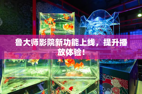 鲁大师影院新功能上线，提升播放体验！