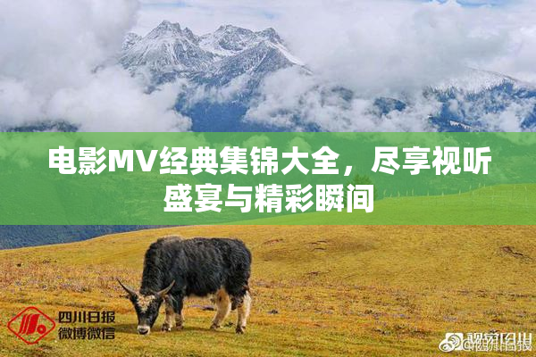 电影MV经典集锦大全，尽享视听盛宴与精彩瞬间