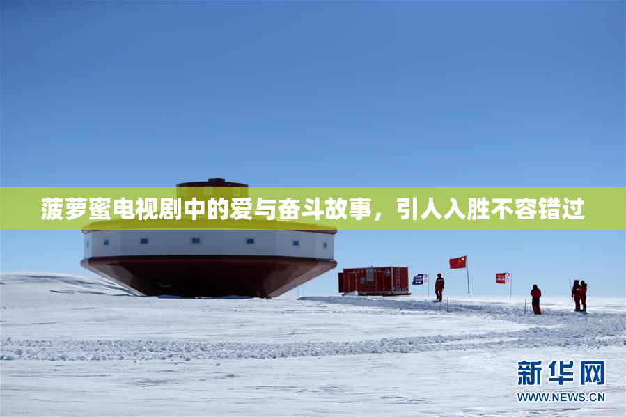 菠萝蜜电视剧中的爱与奋斗故事，引人入胜不容错过