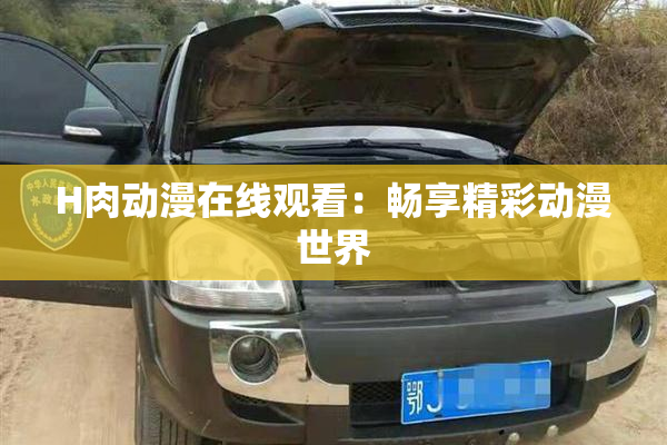 H肉动漫在线观看：畅享精彩动漫世界