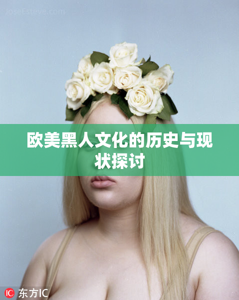 欧美黑人文化的历史与现状探讨