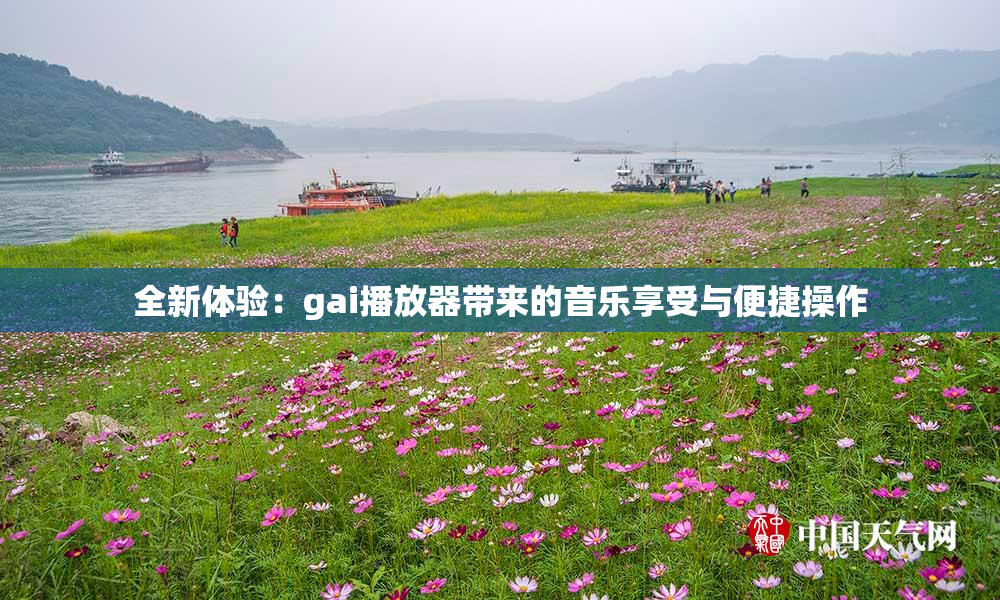 全新体验：gai播放器带来的音乐享受与便捷操作