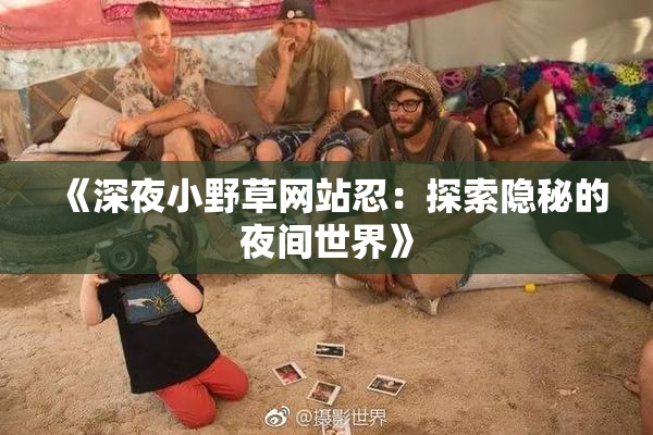 《深夜小野草网站忍：探索隐秘的夜间世界》