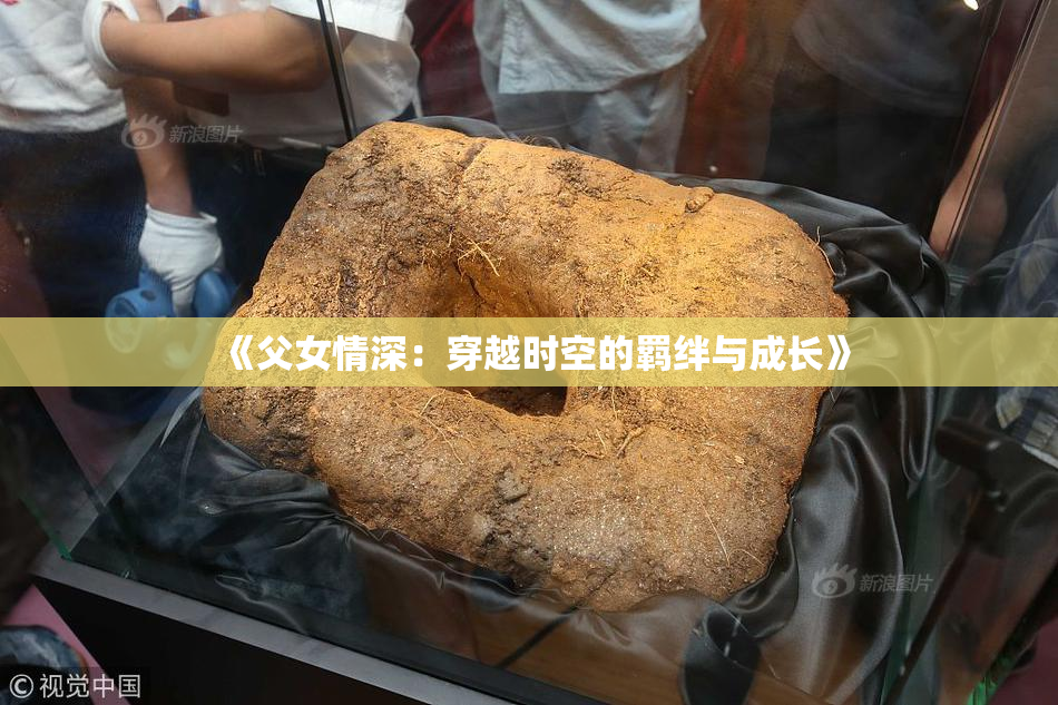 《父女情深：穿越时空的羁绊与成长》