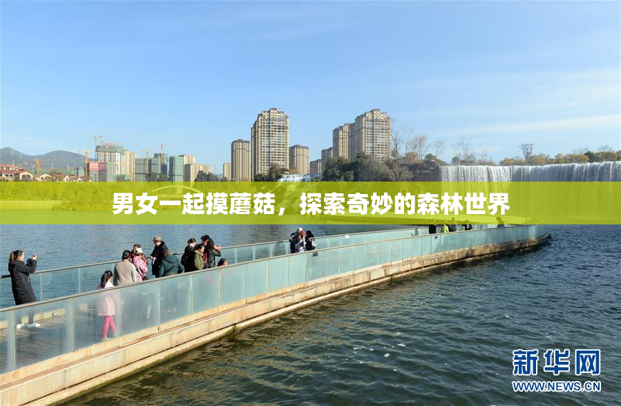 男女一起摸蘑菇，探索奇妙的森林世界