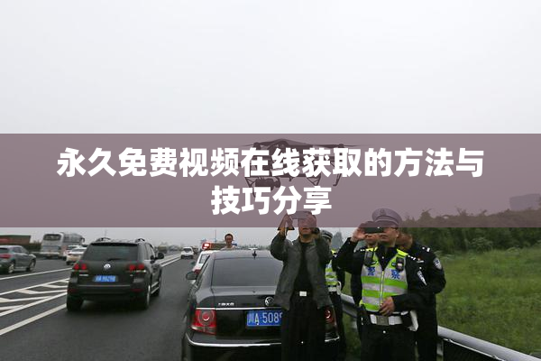 永久免费视频在线获取的方法与技巧分享