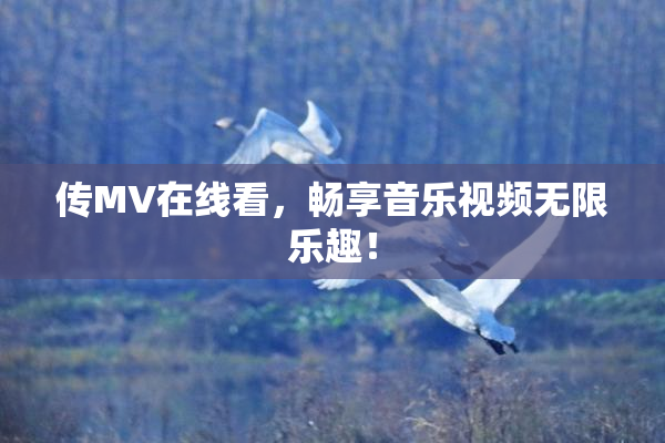 传MV在线看，畅享音乐视频无限乐趣！