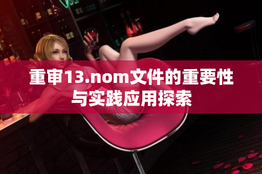 重审13.nom文件的重要性与实践应用探索