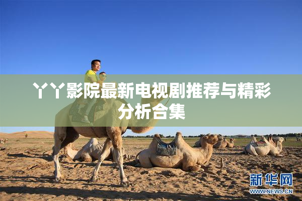 丫丫影院最新电视剧推荐与精彩分析合集