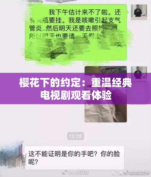 樱花下的约定：重温经典电视剧观看体验