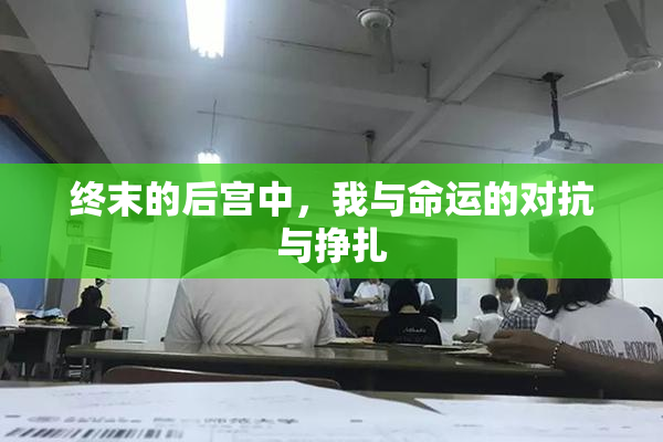 终末的后宫中，我与命运的对抗与挣扎
