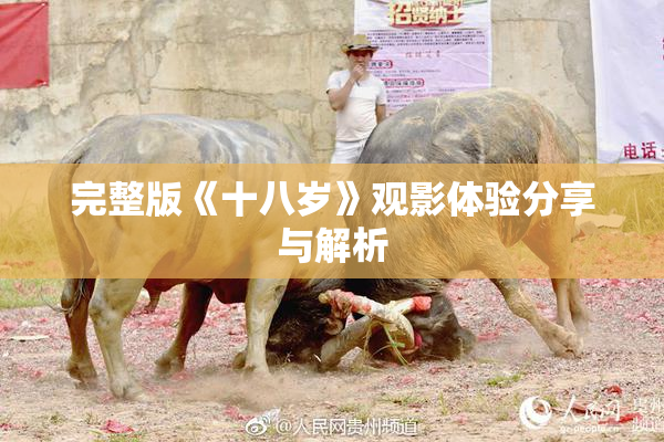 完整版《十八岁》观影体验分享与解析