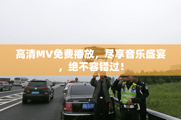 高清MV免费播放，尽享音乐盛宴，绝不容错过！