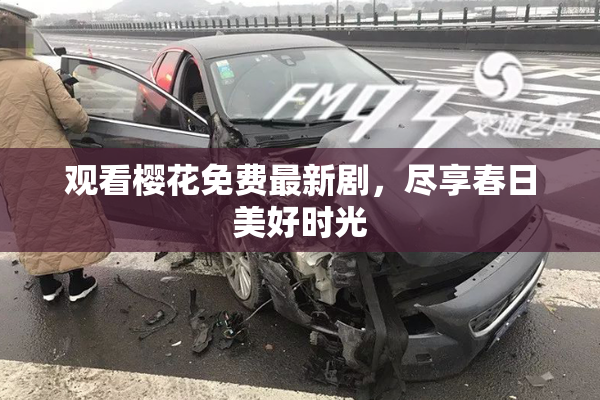 观看樱花免费最新剧，尽享春日美好时光