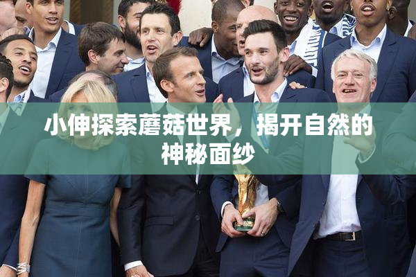 小伸探索蘑菇世界，揭开自然的神秘面纱
