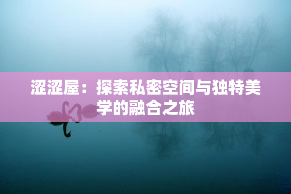 涩涩屋：探索私密空间与独特美学的融合之旅