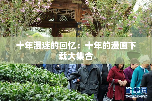 十年漫迷的回忆：十年的漫画下载大集合