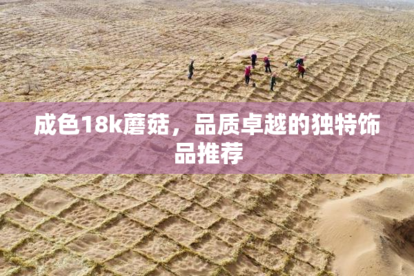 成色18k蘑菇，品质卓越的独特饰品推荐