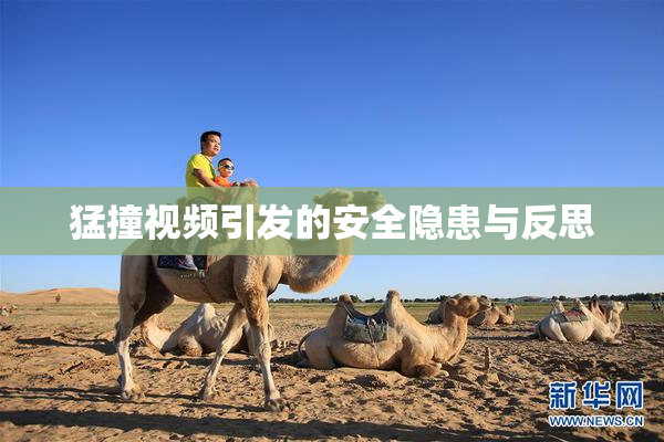 猛撞视频引发的安全隐患与反思