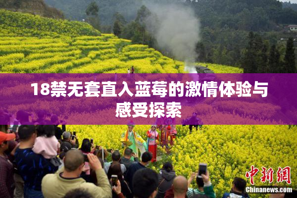 18禁无套直入蓝莓的激情体验与感受探索