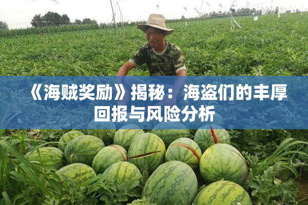 《海贼奖励》揭秘：海盗们的丰厚回报与风险分析